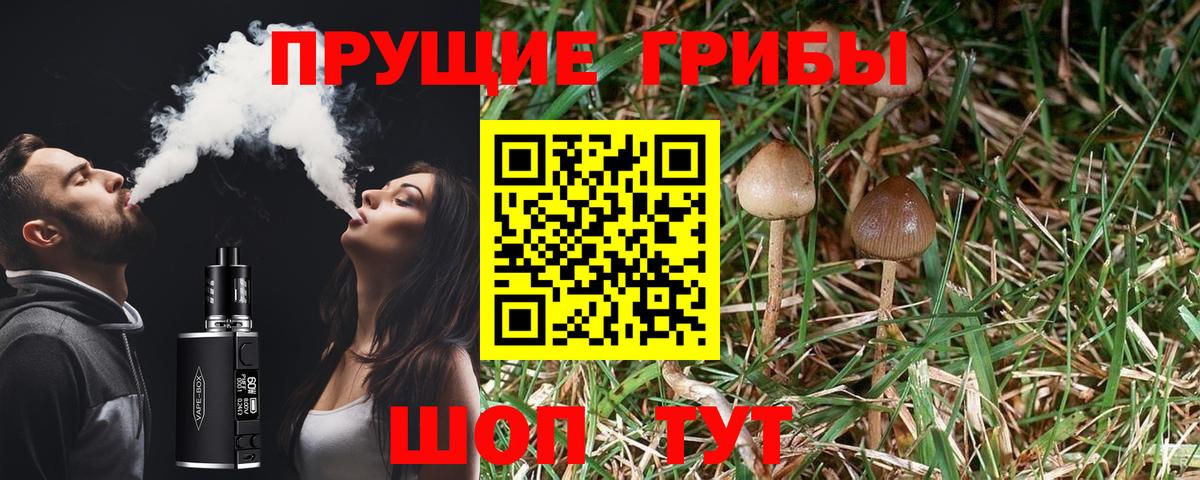 Псилоцибиновые грибы ЛСД Качканар