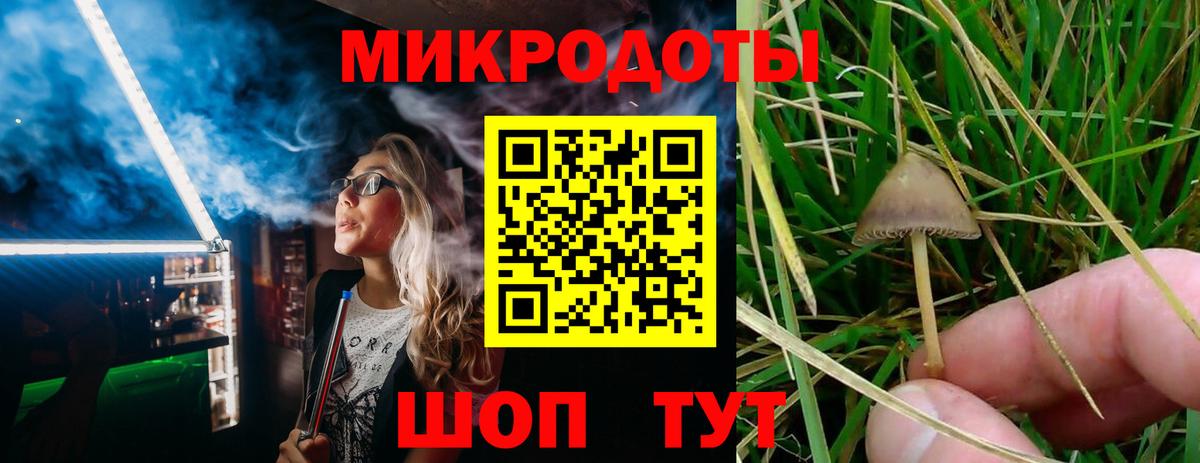 Псилоцибиновые грибы Cubensis  Вход с VPN  Галлюциногенные грибы Magic Shrooms  Качканар 